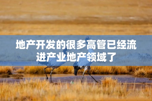 地产开发的很多高管已经流进产业地产领域了