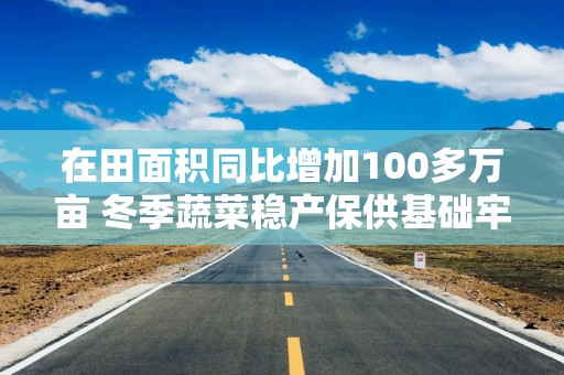 在田面积同比增加100多万亩 冬季蔬菜稳产保供基础牢固