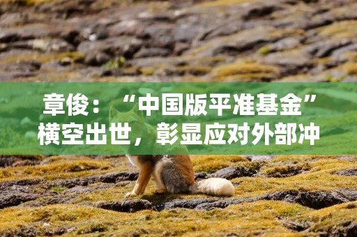 章俊：“中国版平准基金”横空出世，彰显应对外部冲击具备充足政策空间