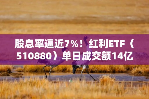 股息率逼近7%！红利ETF（510880）单日成交额14亿，创年内新高！