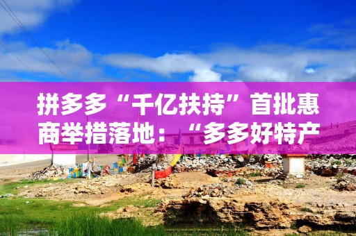 拼多多“千亿扶持”首批惠商举措落地：“多多好特产”等专项启动