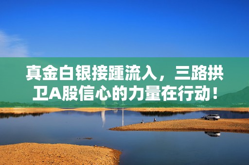 真金白银接踵流入，三路拱卫A股信心的力量在行动！