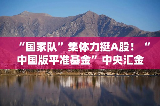 “国家队”集体力挺A股！“中国版平准基金”中央汇金果断出手，中国国新首批增持800亿