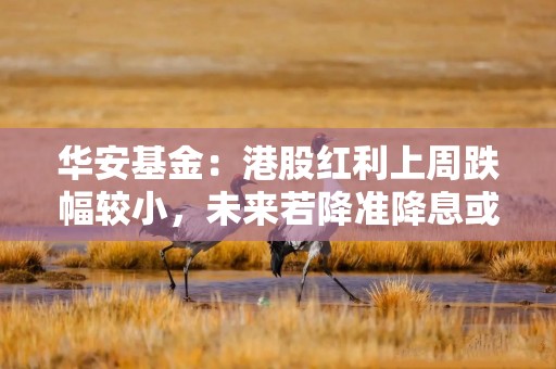 华安基金：港股红利上周跌幅较小，未来若降准降息或利好红利