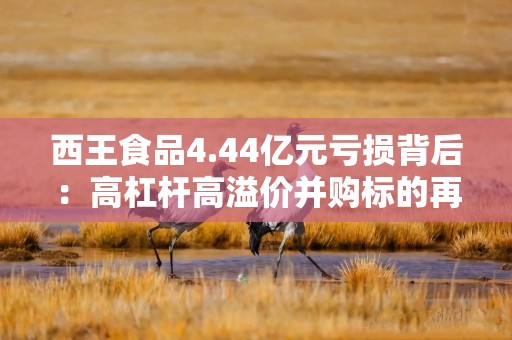 西王食品4.44亿元亏损背后：高杠杆高溢价并购标的再度暴雷 存贷双高财务压力大