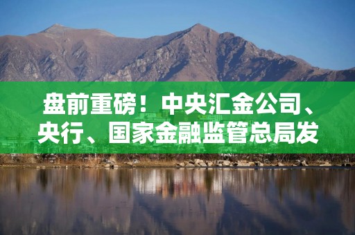 盘前重磅！中央汇金公司、央行、国家金融监管总局发声