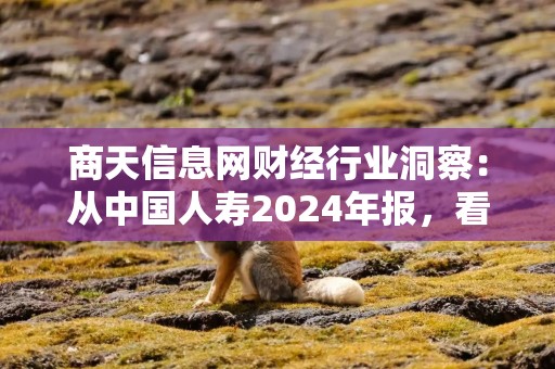 商天信息网财经行业洞察：从中国人寿2024年报，看靠谱保险公司的三大硬指标