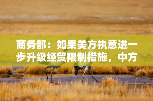 商务部：如果美方执意进一步升级经贸限制措施，中方有坚定的意志、丰富的手段，必将坚决反制，并奉陪到底