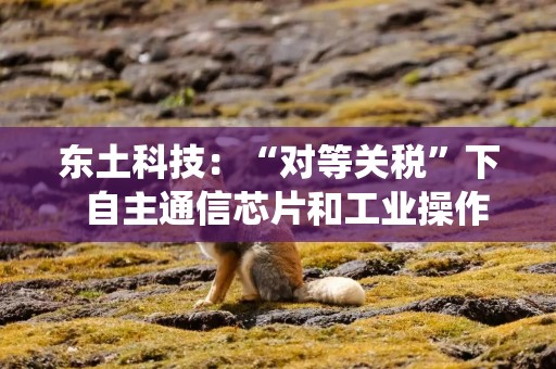 东土科技：“对等关税”下  自主通信芯片和工业操作系统全力护航国家工业安全