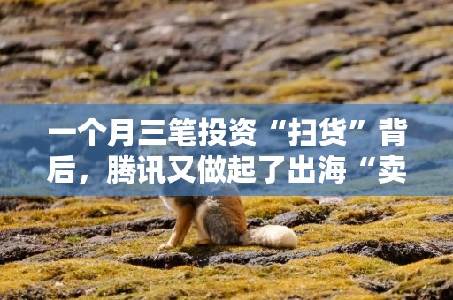 一个月三笔投资“扫货”背后，腾讯又做起了出海“卖铲人”