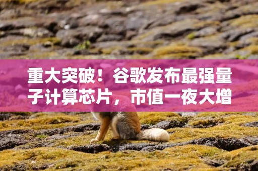 重大突破！谷歌发布最强量子计算芯片，市值一夜大增超8000亿元！科技大佬马斯克、奥特曼点赞