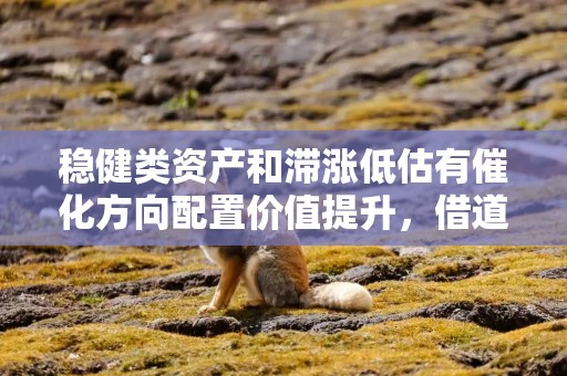 稳健类资产和滞涨低估有催化方向配置价值提升，借道A50ETF华宝（159596）布局