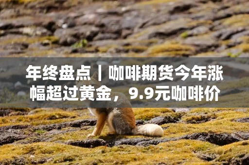 年终盘点｜咖啡期货今年涨幅超过黄金，9.9元咖啡价格大战还能打下去吗