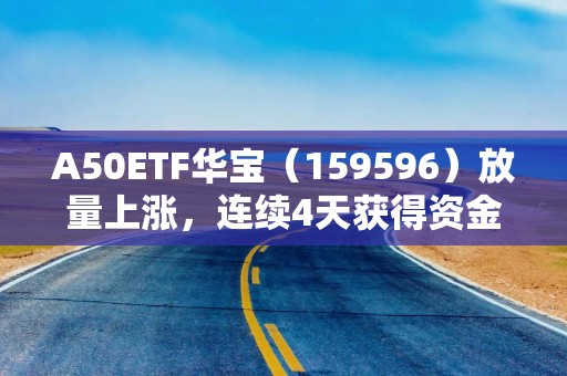 A50ETF华宝（159596）放量上涨，连续4天获得资金净申购