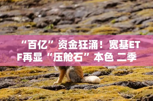 “百亿”资金狂涌！宽基ETF再显“压舱石”本色 二季度最新预判来了