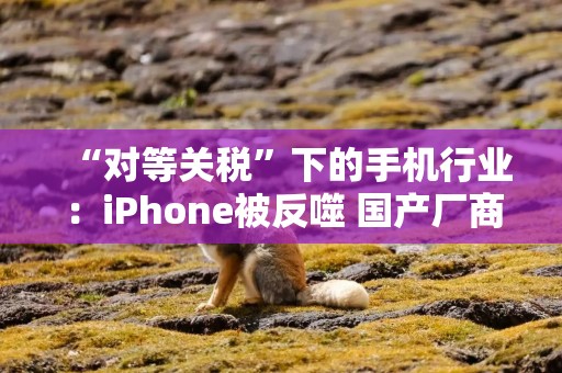 “对等关税”下的手机行业：iPhone被反噬 国产厂商影响有限