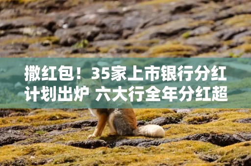 撒红包！35家上市银行分红计划出炉 六大行全年分红超4200亿元