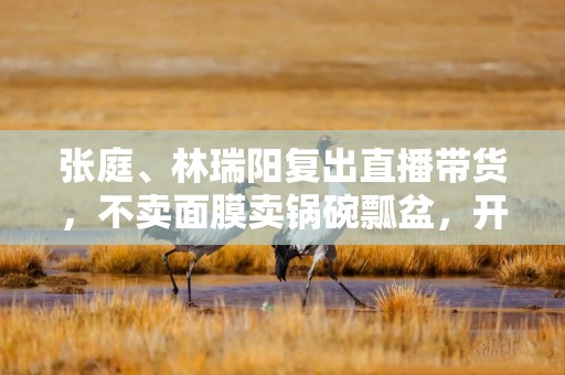 张庭、林瑞阳复出直播带货，不卖面膜卖锅碗瓢盆，开播7小时仅卖267万元