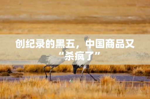 创纪录的黑五，中国商品又“杀疯了”