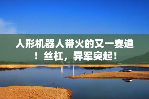 人形机器人带火的又一赛道！丝杠，异军突起！