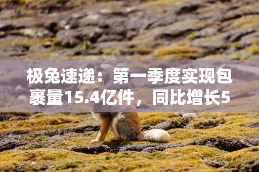 极兔速递：第一季度实现包裹量15.4亿件，同比增长50%