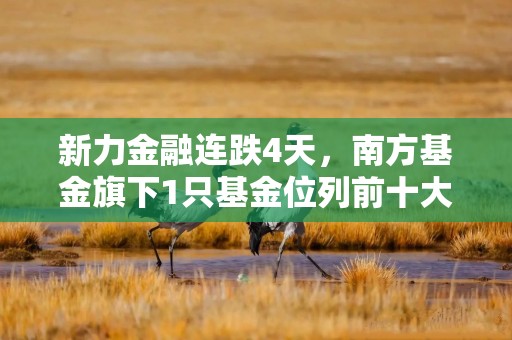 新力金融连跌4天，南方基金旗下1只基金位列前十大股东