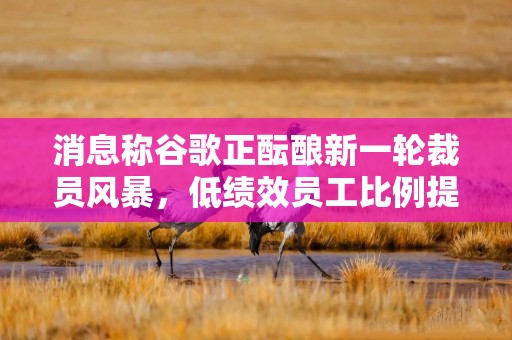 消息称谷歌正酝酿新一轮裁员风暴，低绩效员工比例提至10%