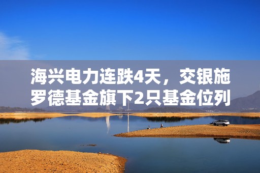 海兴电力连跌4天，交银施罗德基金旗下2只基金位列前十大股东