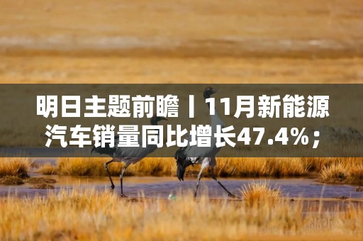 明日主题前瞻丨11月新能源汽车销量同比增长47.4%；春节反季游、海岛游热度高涨
