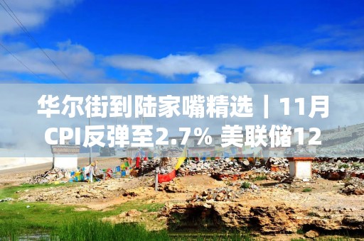 华尔街到陆家嘴精选｜11月CPI反弹至2.7% 美联储12月降息稳了？马斯克成全球身家超4000亿美元“第一人”！