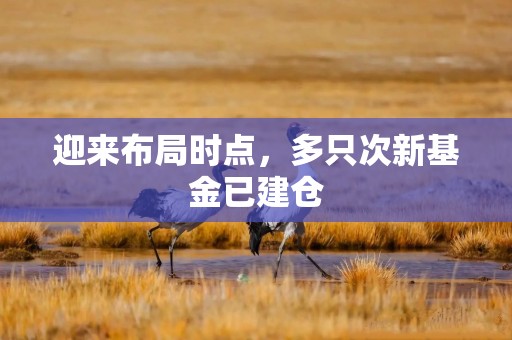 迎来布局时点，多只次新基金已建仓