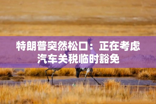 特朗普突然松口：正在考虑汽车关税临时豁免