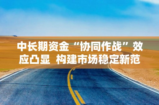 中长期资金“协同作战”效应凸显  构建市场稳定新范式
