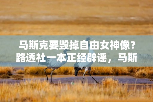 马斯克要毁掉自由女神像？路透社一本正经辟谣，马斯克调侃