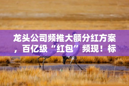 龙头公司频推大额分红方案，百亿级“红包”频现！标普红利ETF（562060）配置价值显著