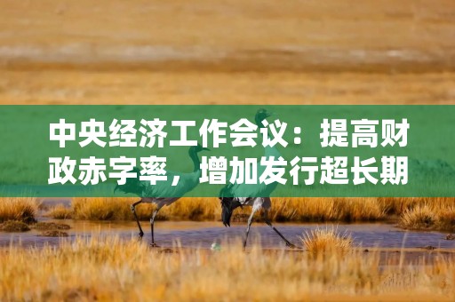 中央经济工作会议：提高财政赤字率，增加发行超长期特别国债