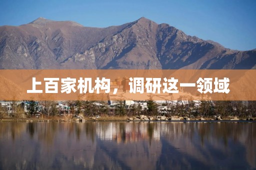 上百家机构，调研这一领域