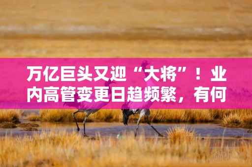 万亿巨头又迎“大将”！业内高管变更日趋频繁，有何特征？