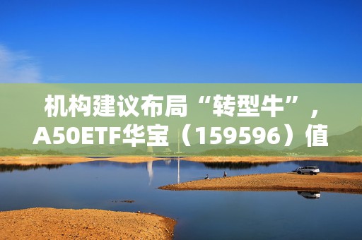 机构建议布局“转型牛”，A50ETF华宝（159596）值得关注