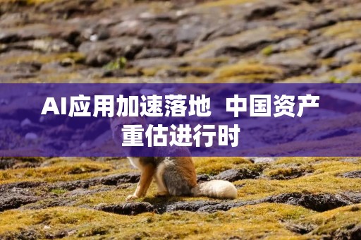 AI应用加速落地  中国资产重估进行时