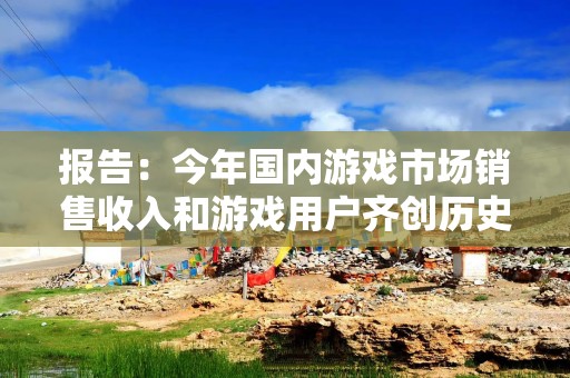 报告：今年国内游戏市场销售收入和游戏用户齐创历史新高