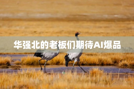 华强北的老板们期待AI爆品