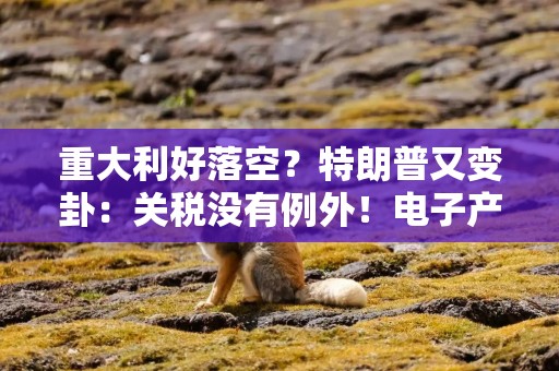 重大利好落空？特朗普又变卦：关税没有例外！电子产品仍面临关税