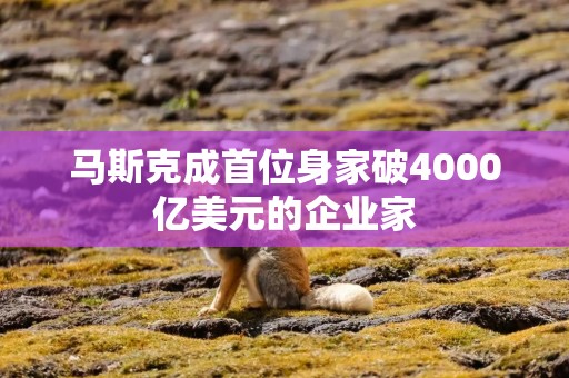 马斯克成首位身家破4000亿美元的企业家