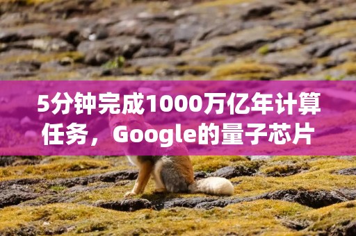 5分钟完成1000万亿年计算任务，Google的量子芯片意味着什么？