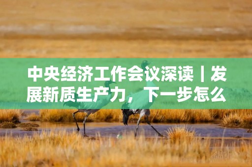 中央经济工作会议深读｜发展新质生产力，下一步怎么干？