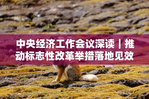 中央经济工作会议深读｜推动标志性改革举措落地见效释放市场活力