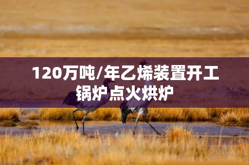 120万吨/年乙烯装置开工锅炉点火烘炉