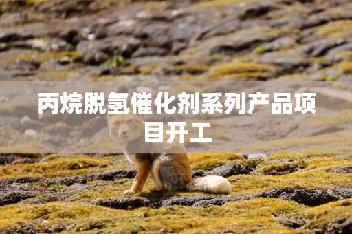 丙烷脱氢催化剂系列产品项目开工