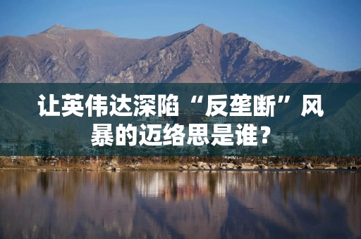 让英伟达深陷“反垄断”风暴的迈络思是谁？